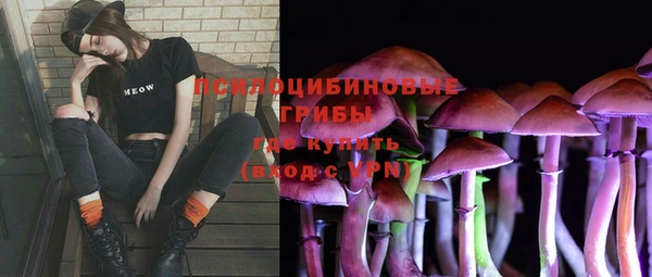 PSILOCYBIN Няндома