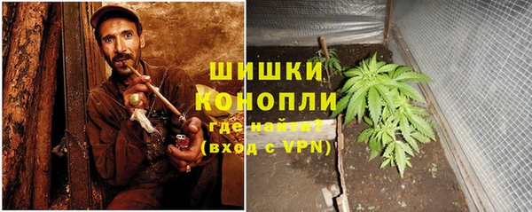 apvp Новозыбков
