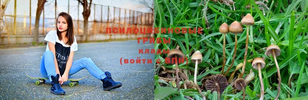 мдпв Нея