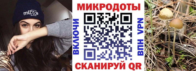 Купить Пыть-Ях Псилоцибиновые грибы GOLDEN TEACHER